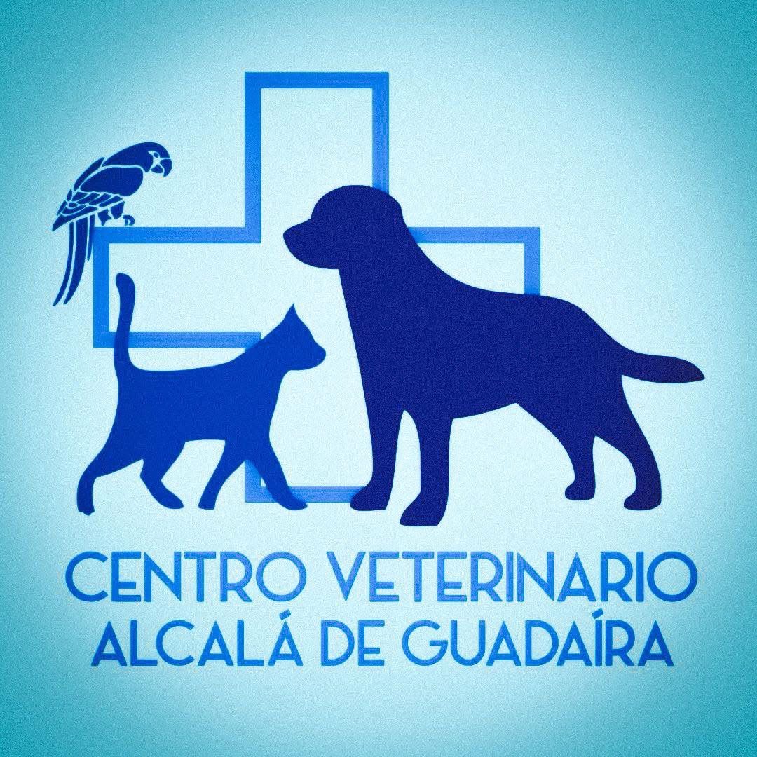 veterinariaalcaladeguadaira